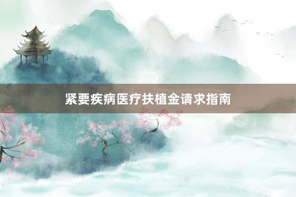 紧要疾病医疗扶植金请求指南