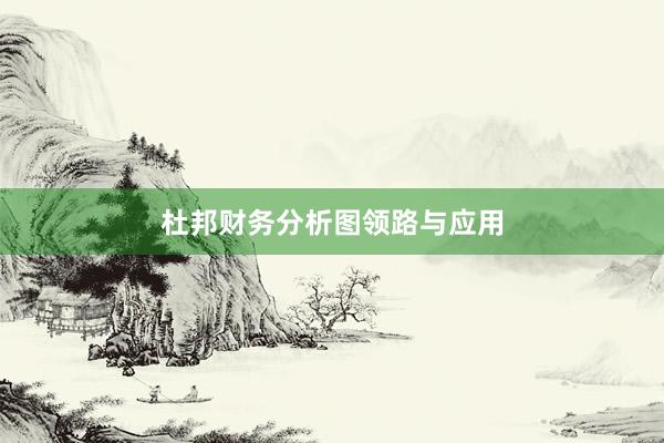 杜邦财务分析图领路与应用